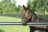 Centaur HTP 5" Rail Horse Fencing - Centaur Fencing - 3