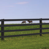 CenFlex 5" Rail Horse Fencing