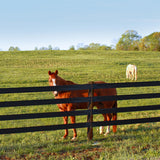 Centaur HTP 5" Rail Horse Fencing