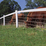 PolyPlus Coated Horse Fencing