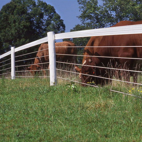 PolyPlus Coated Horse Fencing – Centaur Fencing